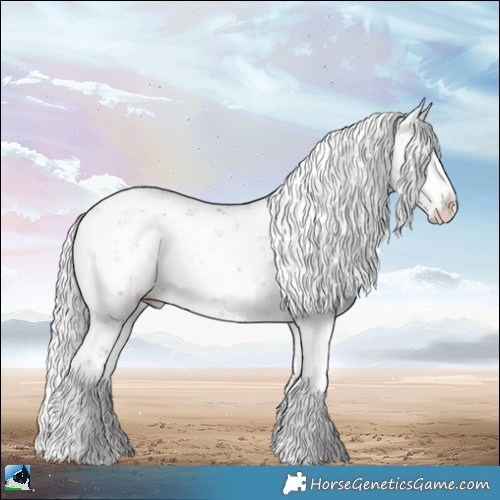 Horse Color:White Spotted Chocolate Silver Black Chinchilla Sabino 