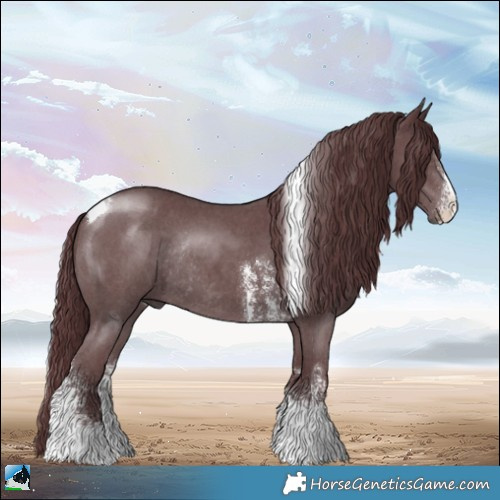 Horse Color:Chocolate Black Chinchilla Sabino Tobiano Rabicano 