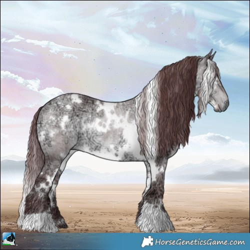 Horse Color:White Spotted Chocolate Brown Chinchilla Ice Dun Rabicano 