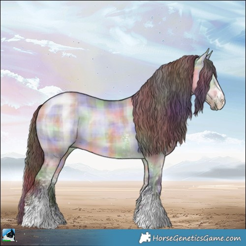 Horse Color:Nacre Plaid  Chocolate Brown Chinchilla Dun Sabino 