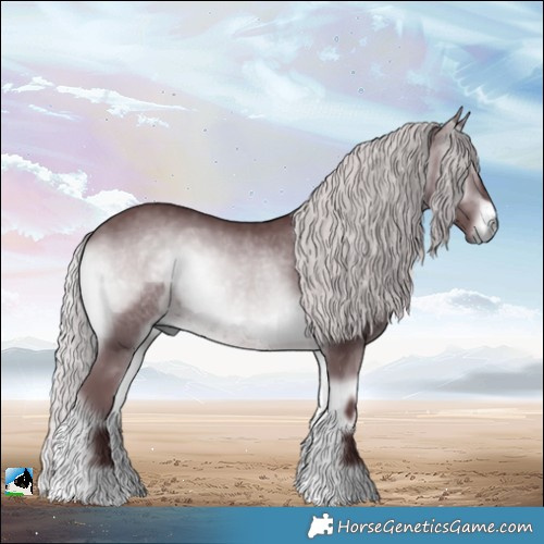 Horse Color:Chocolate Silver Brown Chinchilla Onyx 