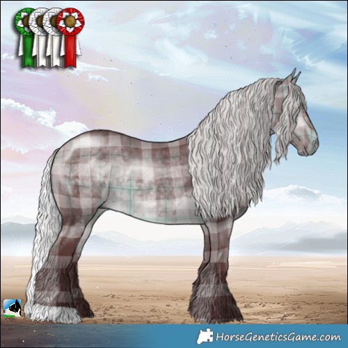Horse Color:Plaid  Chocolate Silver Brown Chinchilla 