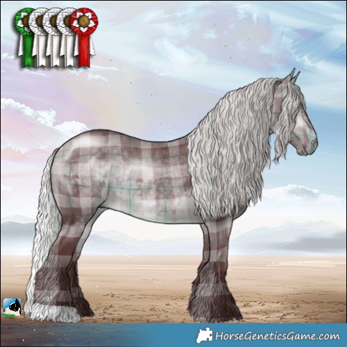 Horse Color:Plaid  Chocolate Silver Brown Chinchilla 