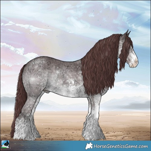 Horse Color:White Spotted Chocolate Brown Chinchilla Ice Rabicano 