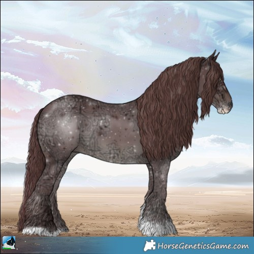 Horse Color:Chocolate Black Ice Sabino 