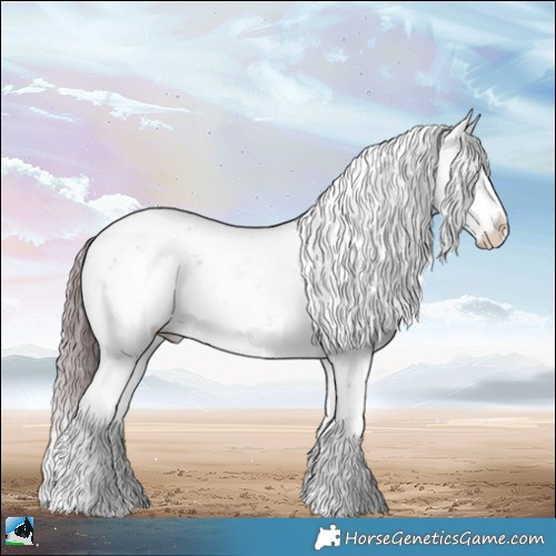 Horse Color:Plaid  Chocolate Black Chinchilla Ice Sabino 