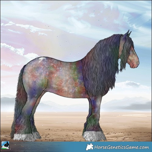 Horse Color:Nacre Brown Appaloosa 