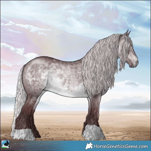 Horse Color:Chocolate Silver Brown Chinchilla 