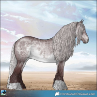 Horse Color:Chocolate Silver Brown Chinchilla