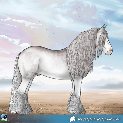 Horse Color:Chocolate Silver Brown Chinchilla Onyx Splash Rabicano 