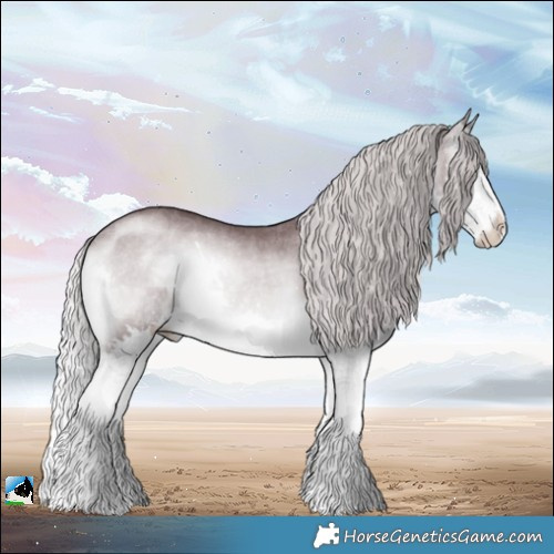 Horse Color:Chocolate Silver Brown Chinchilla Onyx Splash Rabicano 