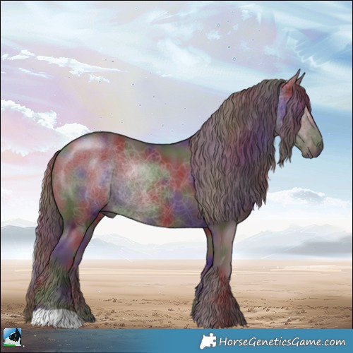 Horse Color:Nacre Chocolate Black Chinchilla Rabicano 