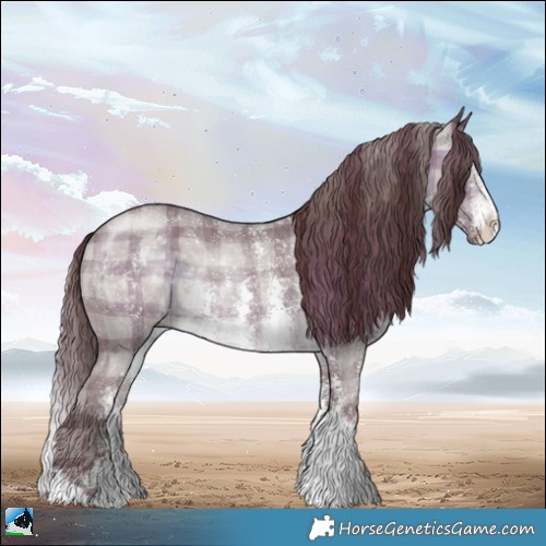Horse Color:Plaid Chocolate Brown Chinchilla Sabino