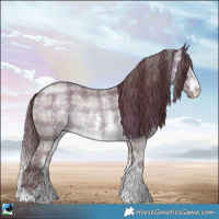 Horse Color:Plaid  Chocolate Brown Chinchilla Sabino 