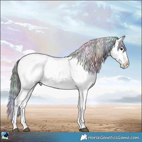 Horse Color:Nacre Black Sabino 