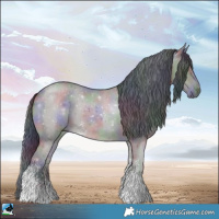 Horse Color:Nacre Grullo Sabino 