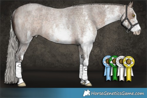 Horse Color:White Spotted Silver Brown Roan Dun Rabicano 