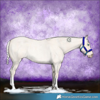 Horse Color:Silver Perlino Roan Rabicano 