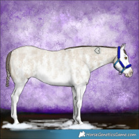 Horse Color:Classic Cream Champagne Roan Sabino Splash Rabicano