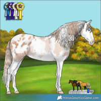 Horse Color:White Spotted Gold Champagne Splash Blanket Rabicano 
