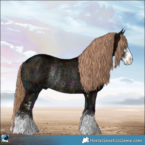 Horse Color:Midnight Liver Red Onyx Ice Sabino Rabicano 