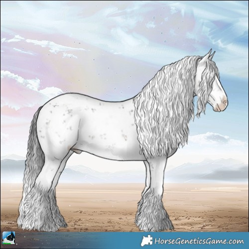 Horse Color:White Spotted Brown Ice Sabino Rabicano 
