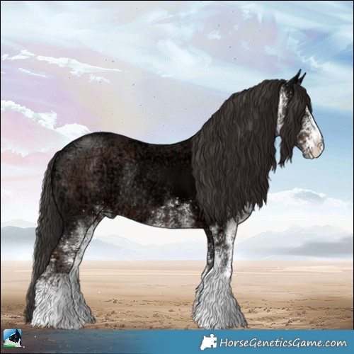 Horse Color:White Spotted Liver Chestnut Ice Rabicano 