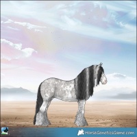 Horse Color:White Spotted Grullo Ice Sabino Rabicano 