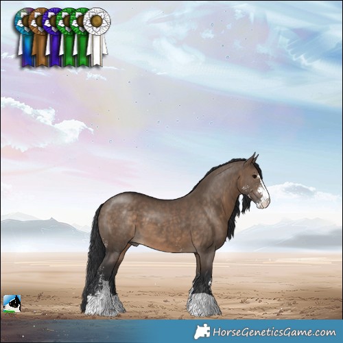 Horse Color:Brown Dun Sabino 