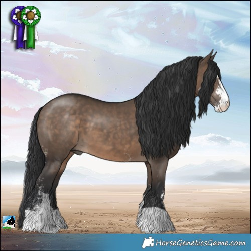 Horse Color:Brown Dun Sabino 