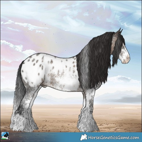 Horse Color:Brown Ice Dun Sabino Appaloosa Rabicano 