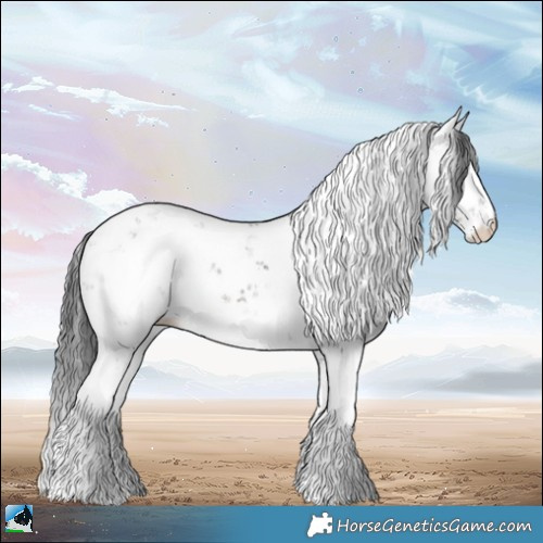 Horse Color:Grullo Ice Onyx Sabino Rabicano 