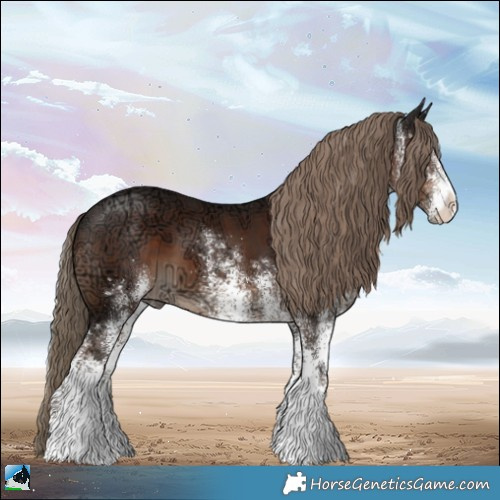 Horse Color:White Spotted Liver Chestnut Ice 