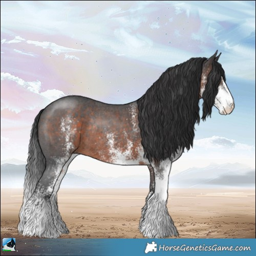 Horse Color:White Spotted Brown Rabicano 