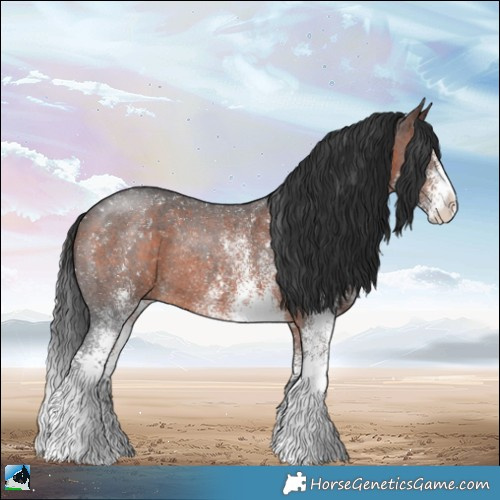 Horse Color:White Spotted Brown Rabicano 