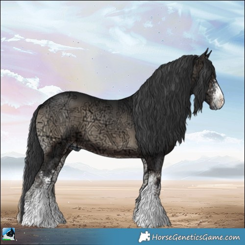Horse Color:Blue Onyx Ice Sabino 