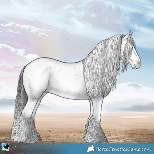 Horse Color:White Spotted Black Ice Sabino Rabicano 