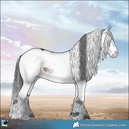 Horse Color:Brown Sabino Splash Rabicano