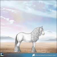 Horse Color:Buckskin Ice Dun Sabino Rabicano 