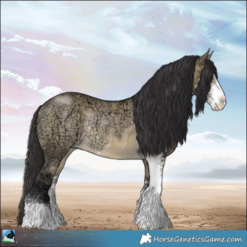 Horse Color:Buckskin Ice Dun Sabino Rabicano 