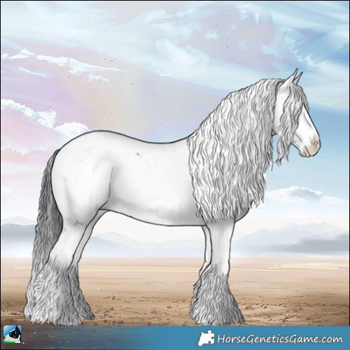 Horse Color:Blue Onyx Sabino Rabicano 