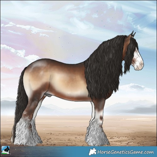Horse Color:Liver Red Onyx Sabino 