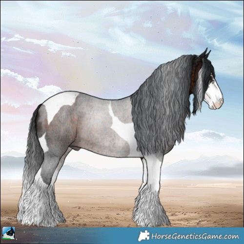 Horse Color:Brown Ice Sabino Tobiano Rabicano 