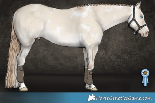 Horse Color:White Spotted Perlino Dun Rabicano 