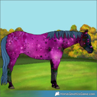 Horse Color:ERROR: UNKNOWN ANOMALY