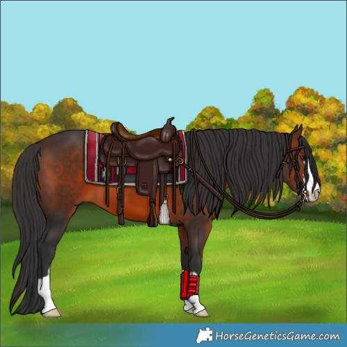 Horse Color:Brown 
