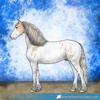 Horse Color:Palomino Sabino Tobiano Appaloosa Rabicano 