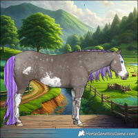 Horse Color:Painted Silver Black Splash Frame 