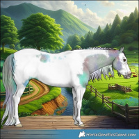 Horse Color:Nacre Grullo Chinchilla Splash Tobiano Frame 