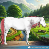 Horse Color:Painted Silver Black Ice Splash Tobiano Frame 